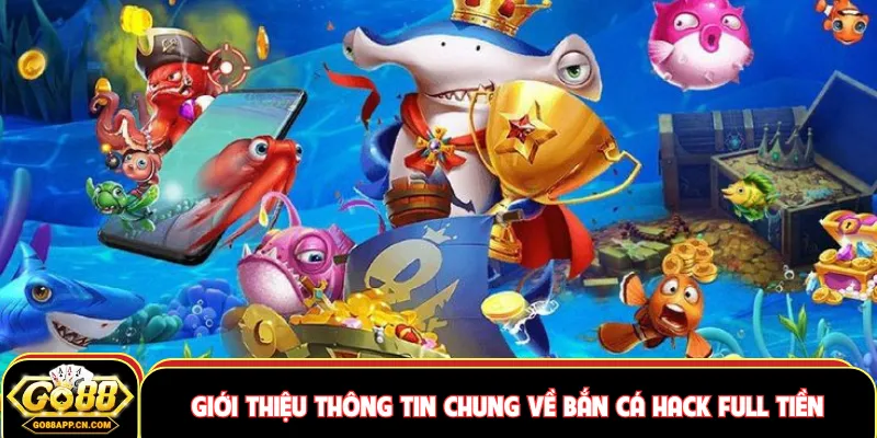 Giới thiệu thông tin chung về bắn cá hack full tiền