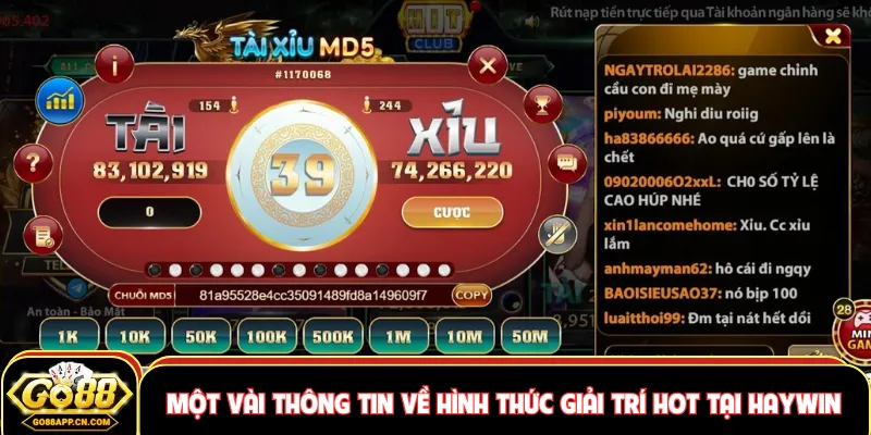 Một vài thông tin về hình thức giải trí hot hit tại Haywin