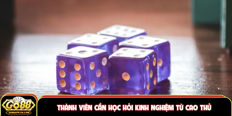 Thành viên cần học hỏi kinh nghiệm từ cao thủ